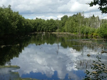 Hohes Moor bei Oldendorf