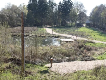 Impression Torfstichpfad Mulsum