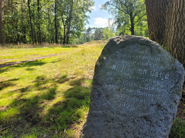 Goldbecker Hügelgräberheide