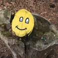 Smiley auf Baumstumpf