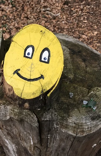 Smiley auf Baumstumpf