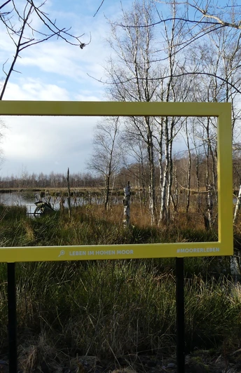 Fenster ins Hohe Moor