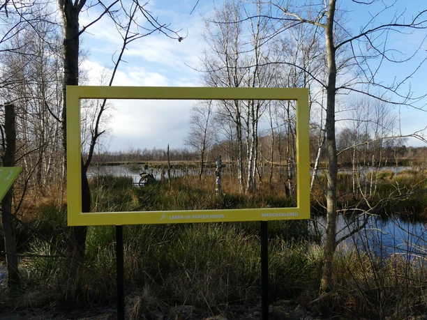 Fenster ins Hohe Moor