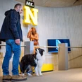 Doggy Tour - Führung mit Hund im Neanderthal Museum Führung im Neanderthal Museum: Mensch mit Hund vor Ausstellungsstück, historische Atmosphäre.