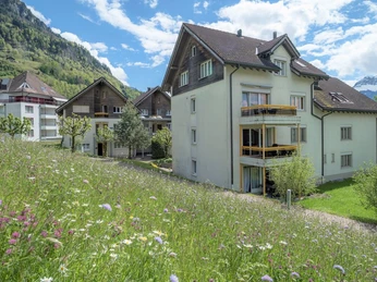 Aussenansicht im Sommer - Swiss Holiday Park swiss-holiday-park, zentralschweiz, morschach