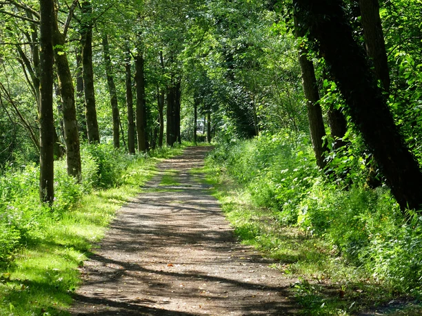 Dreeswanderweg