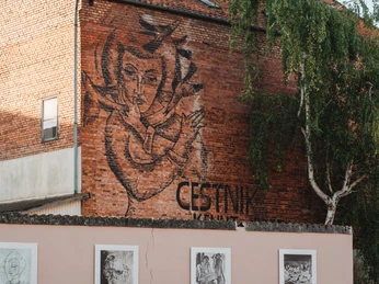 Street Art Cestnik Einbecker Street Art Spot mit dem Thema Cestnik.