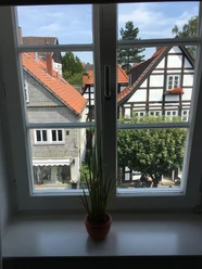 Blick durchs Fenster