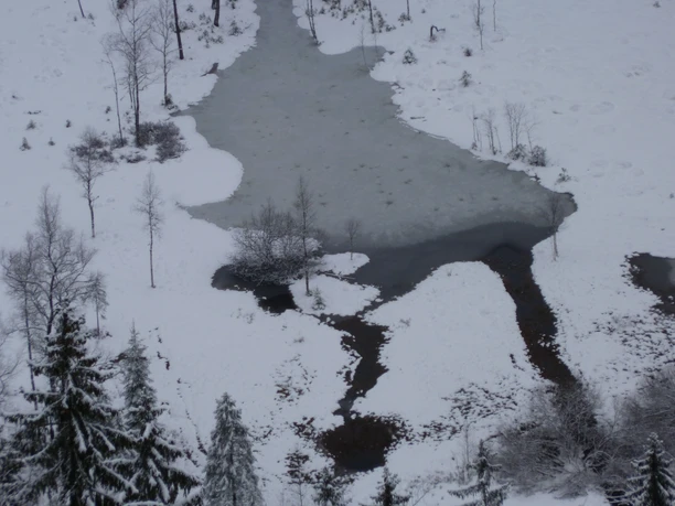 Ellbachsee im Winter