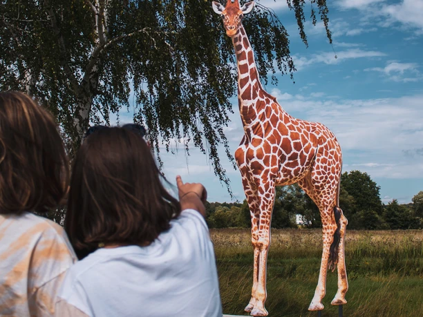 Schwalm statt Safari