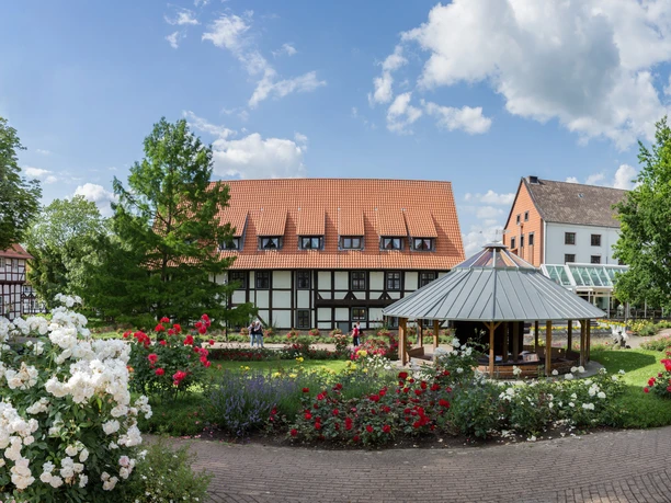 Der Rosengarten in Salzgitter-Bad