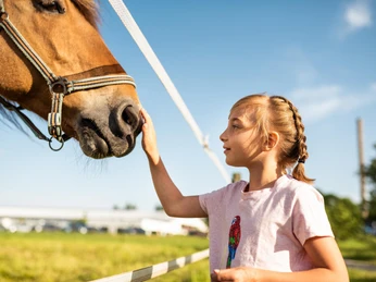 Reithotel Eibenstock - Reiturlaub