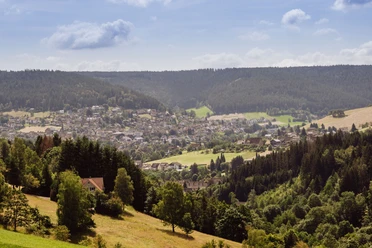 Blick auf Baiersbronn von der Sommerseite