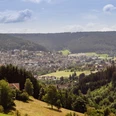 Blick auf Baiersbronn von der Sommerseite