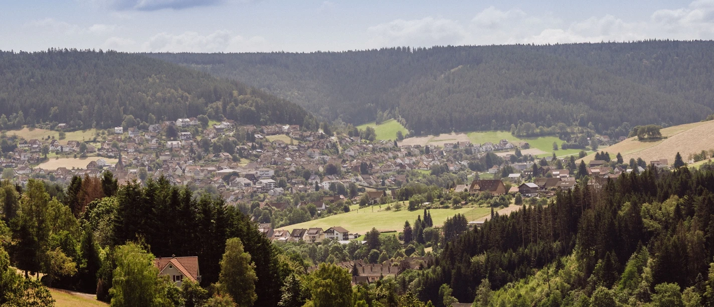 Blick auf Baiersbronn von der Sommerseite