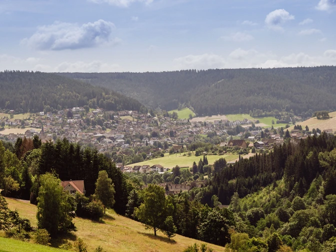 Blick auf Baiersbronn von der Sommerseite