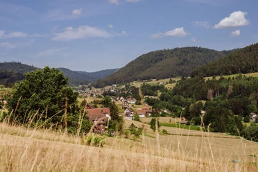 Blick auf Mitteltal von der Winterseite