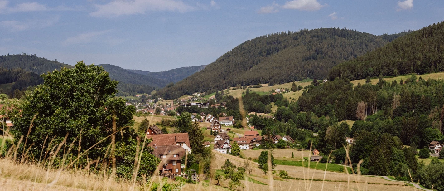Blick auf Mitteltal von der Winterseite