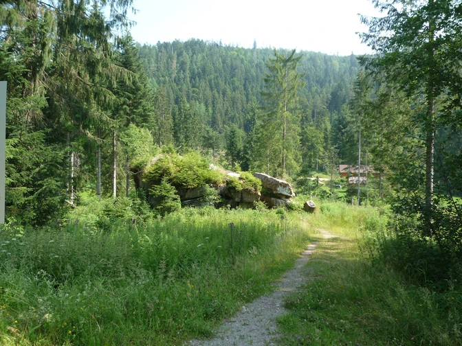 Pudelstein im Tonbachtal