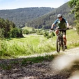 Ein Mountainbiker fährt auf einem breiten Forstweg