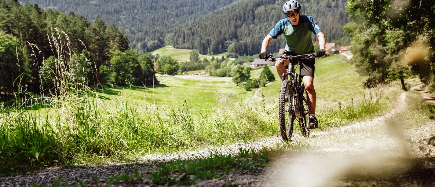 Ein Mountainbiker fährt auf einem breiten Forstweg