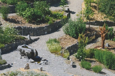 Gruppenerlebnisse-Betriebsbesichtigungen-Theilers Napfkraeuter-Kraeutergarten-Hergiswil-Willisau-WT-5.jpg Theilers Napf-Kräuter