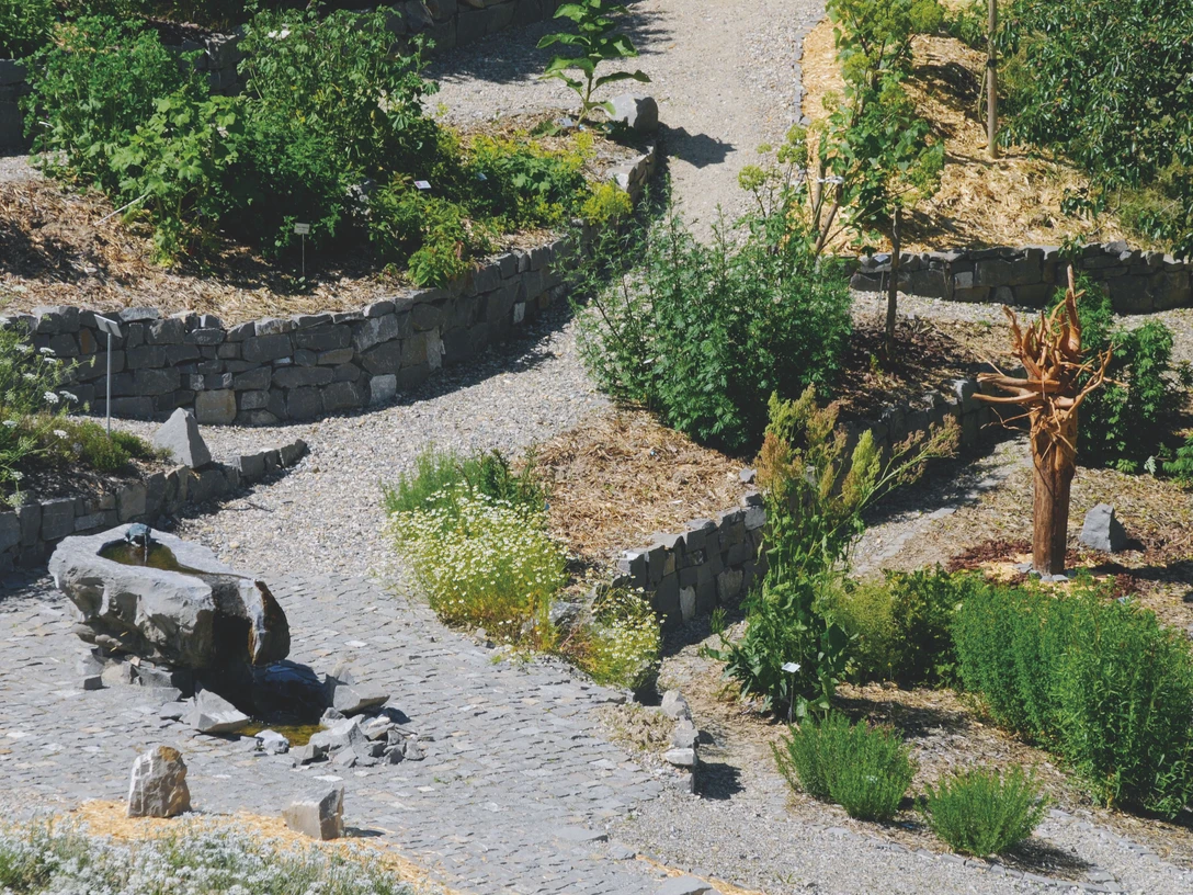 Gruppenerlebnisse-Betriebsbesichtigungen-Theilers Napfkraeuter-Kraeutergarten-Hergiswil-Willisau-WT-5.jpg Theilers Napf-Kräuter