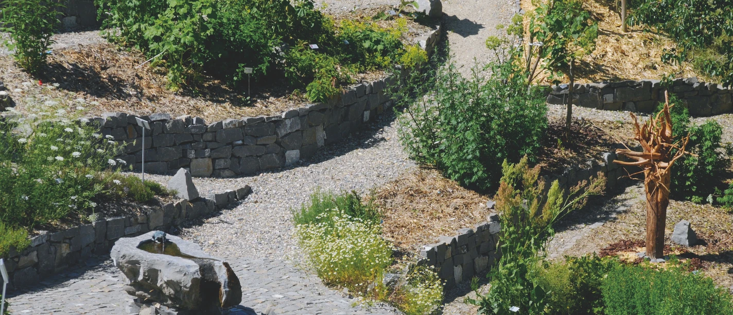 Gruppenerlebnisse-Betriebsbesichtigungen-Theilers Napfkraeuter-Kraeutergarten-Hergiswil-Willisau-WT-5.jpg Theilers Napf-Kräuter