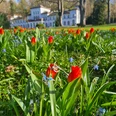 AlterKurpark-Badehaus-Frühling_BS.jpg