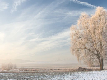 Natur_Wauwilermoos_Winter_Willisau_Priska Ziswiler_Eigengebrauch_1.jpg