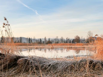 2b naturschutzgebiet wauwilermoos gross_nur Eigengebrauch.jpg