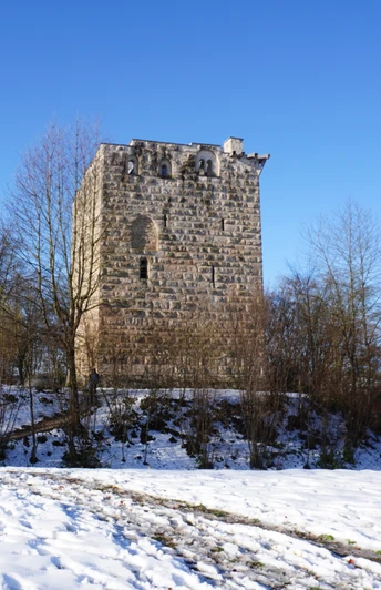 Burgruine Kastelen Alberwil
