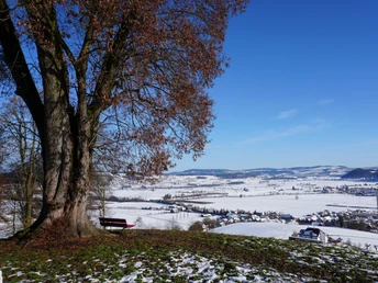 Burgruine Kastelen Sitzbank