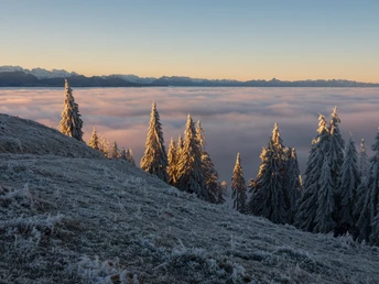 Landschaft-Napf-Aussicht-Sonnenaufgang-Winter-Rita Pauchard-1121-EN-24.jpg