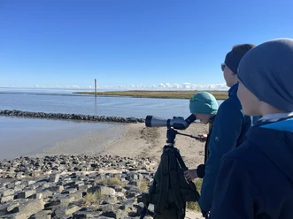 Nationalpark-Vogeltour__Vogelkiek_für_Alle.jpg