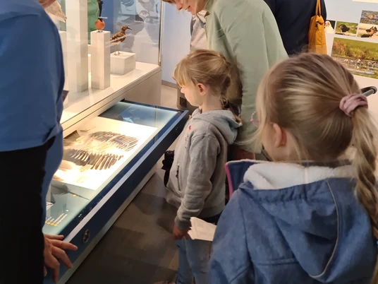 Familienführung im nbz.jpg Eine Gruppe von Menschen, darunter mehrere Kinder, betrachtet aufmerksam eine ausgestellte Federsammlung.
