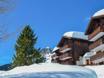 LP-VieuxValaisHD (1)