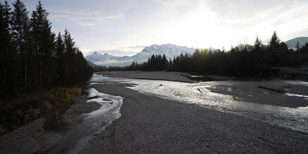 Exkursion / Waldschnepfen an der Isar