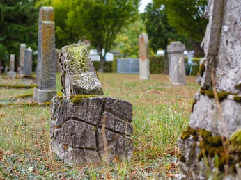 Juedischer Friedhof in Willingen-Eimelrod Juedischer Friedhof in Willingen-Eimelrod