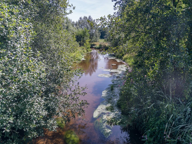 Flusslauf der Ems umgeben von dichtem Grün, Sonne spiegelt sich im Wasser bei Hövelhof.