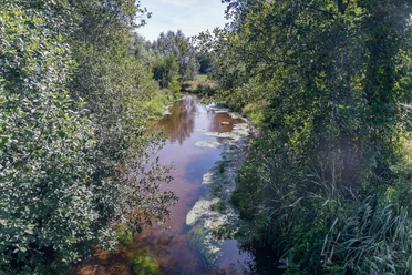 Ems an der Delbrücker Straße Hövelhof Flusslauf der Ems umgeben von dichtem Grün, Sonne spiegelt sich im Wasser bei Hövelhof.