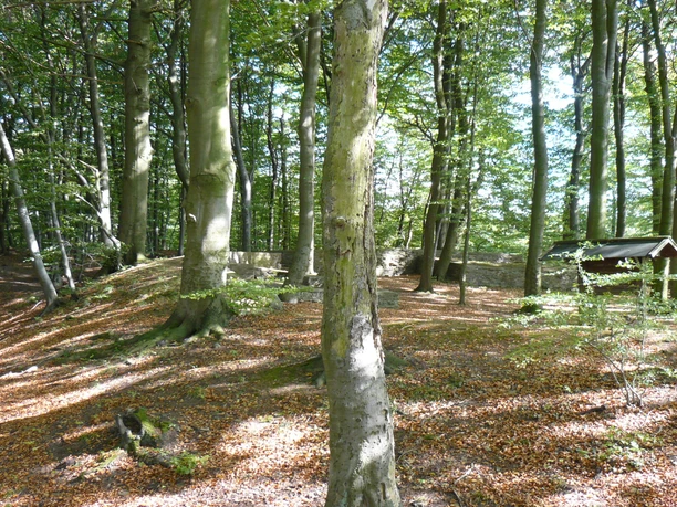 Frankenburg bei Todenmann Frankenburg bei Todenmann