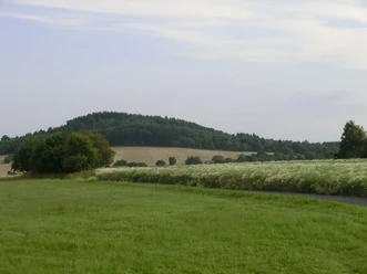 Beboste heuvel met groene velden op de voorgrond, blauwe lucht, vredig landschap.