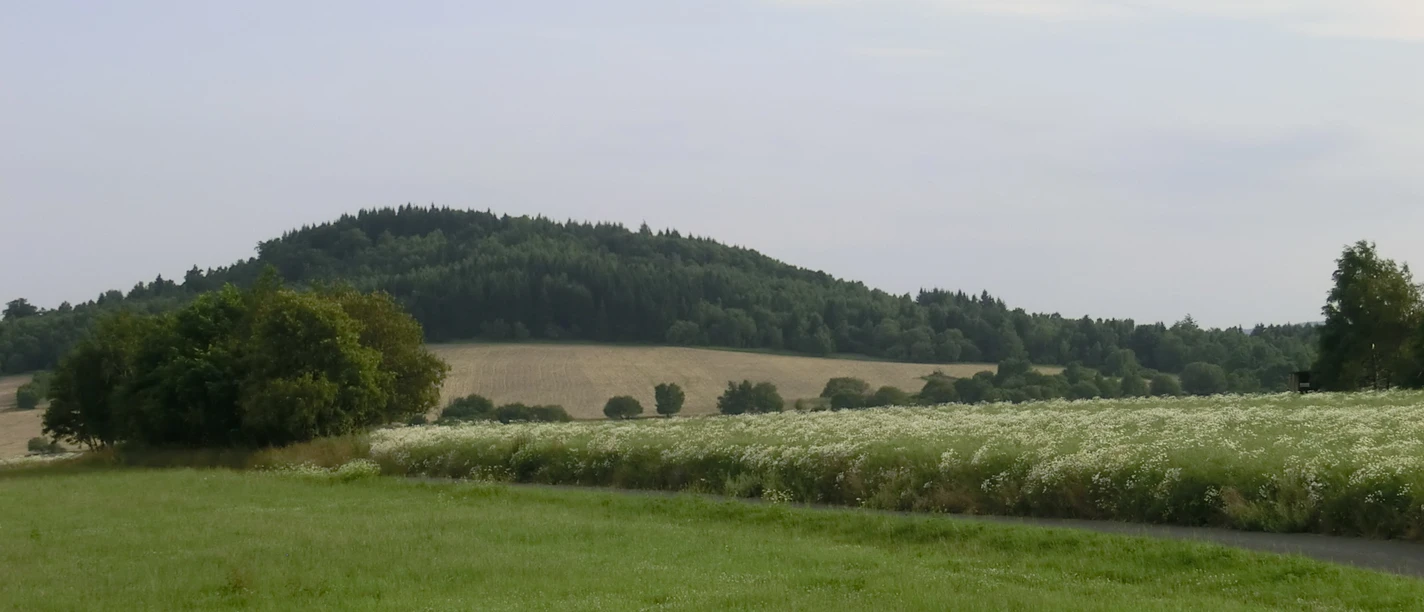 Zalesněný kopec se zelenými poli v popředí, modrá obloha, klidná krajina.