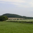 Sattelberg Waldreicher Hügel mit grünen Feldern im Vordergrund, blauer Himmel, ruhige Landschaft.Wooded hill with green fields in the foreground, blue sky, peaceful landscape.Zalesněný kopec se zelenými poli v popředí, modrá obloha, klidná krajina.Zalesione wzgórze z zielonymi polami na pierwszym planie, błękitne niebo, spokojny krajobraz.Beboste heuvel met groene velden op de voorgrond, blauwe lucht, vredig landschap.Collina boscosa con campi verdi in primo piano, cielo azzurro, paesaggio tranquillo.