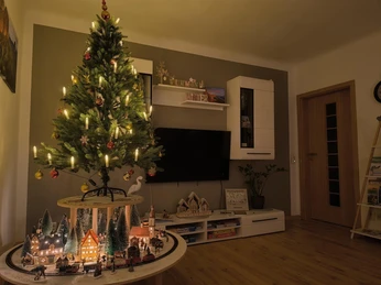 Eisenbahn im Wohnzimmer