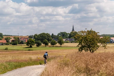 Durch die Kleinkuppenlandschaft nach Bärwalde