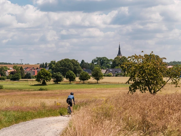 Durch die Kleinkuppenlandschaft nach Bärwalde