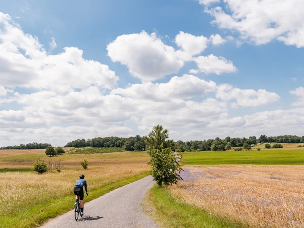 Über ruhige Straßen durch das Elbland bei Bärnsdorf