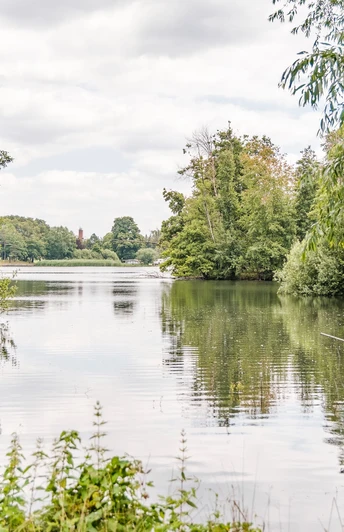 Oberer Waldteich Moritzburg